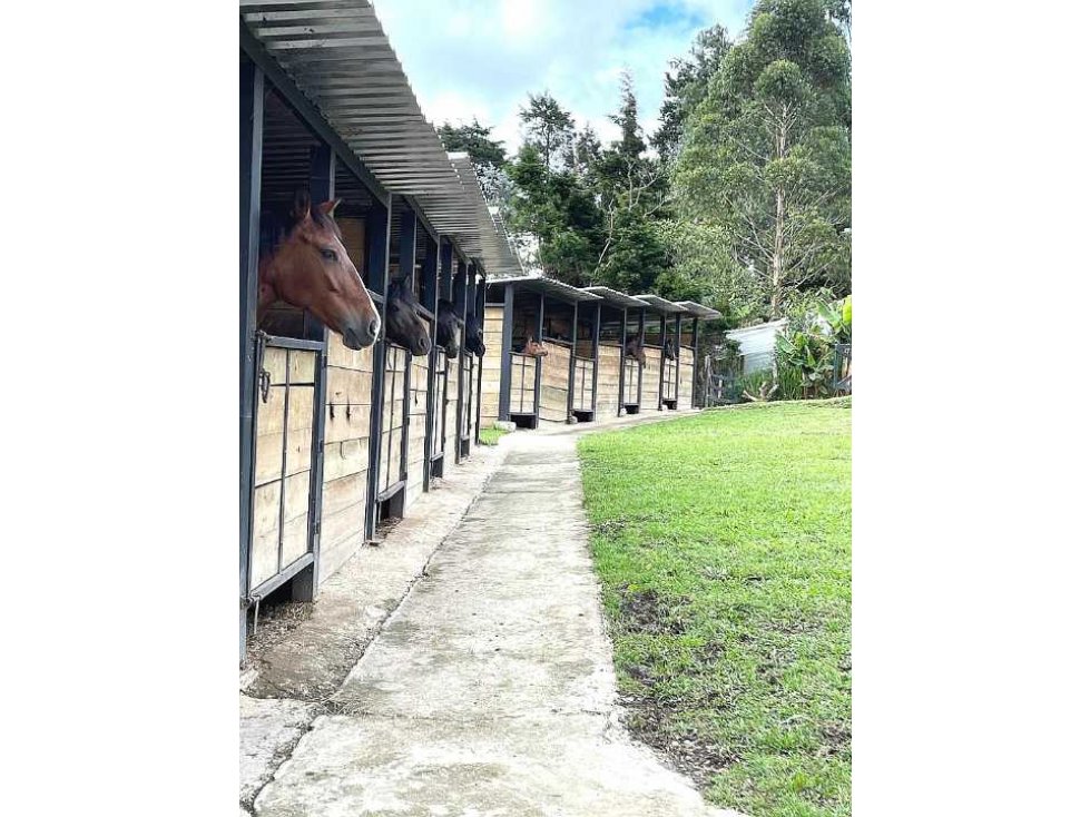 Venta Finca en Guarne Sector Alto de la Virgen