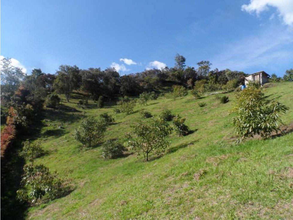 VENTA LOTE EN RIONEGRO VEREDA LA CUCHILLA