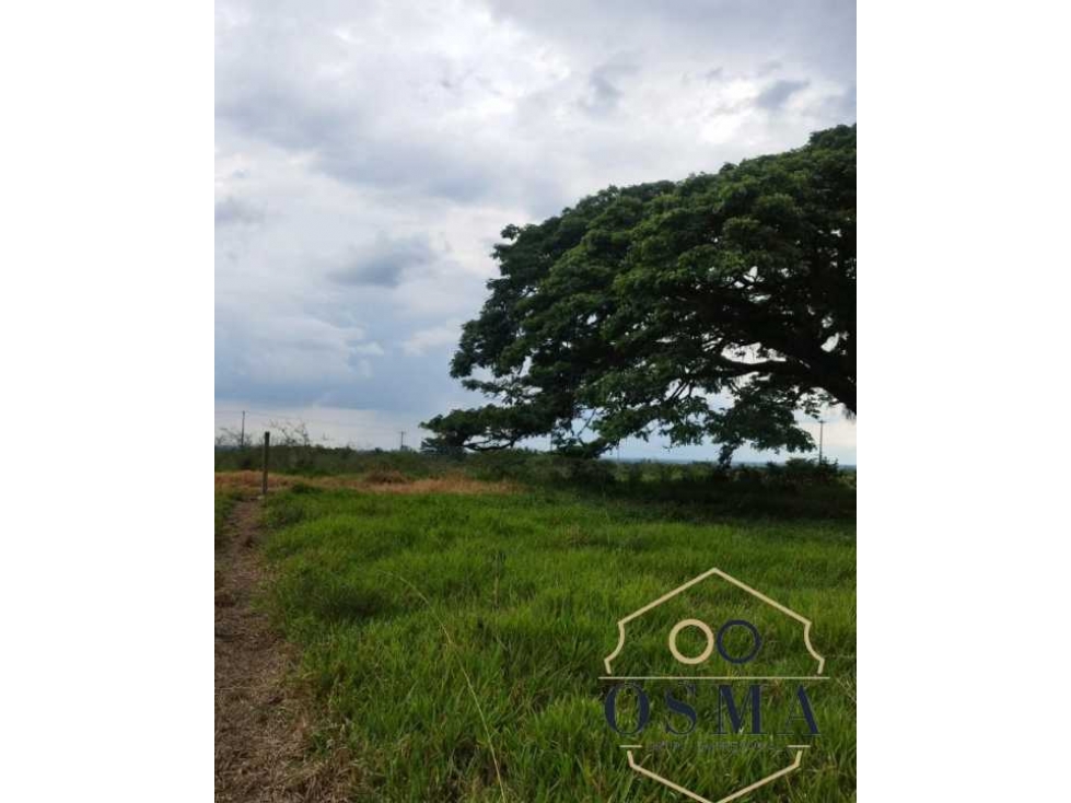 Venta lote 1000 mts2 santa elena cerritos