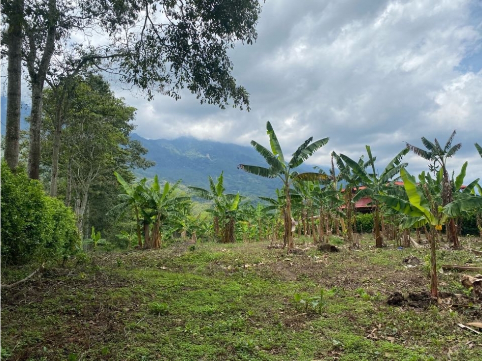 VENTA LOTE - CALARCÁ