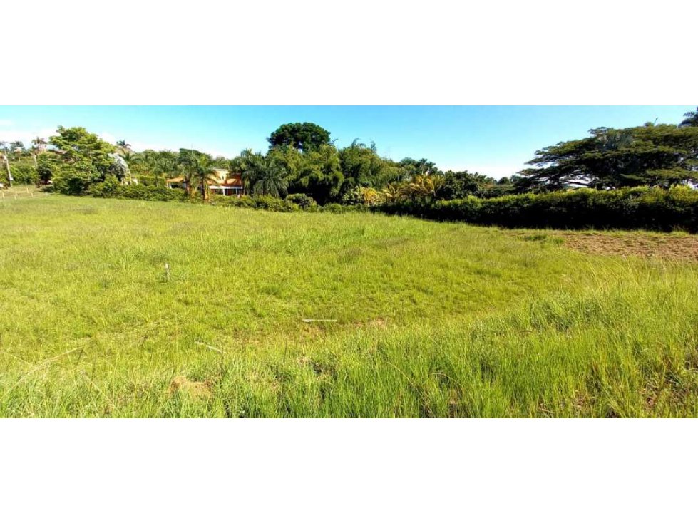 Venta lote Campestre Cerritos Pereira