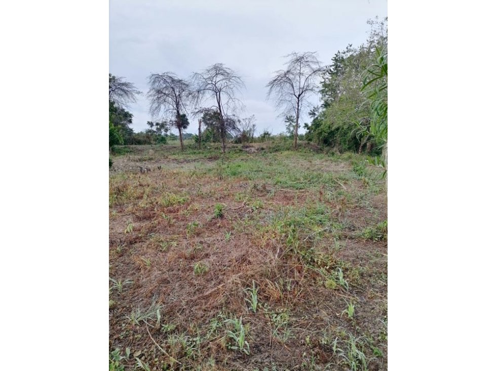 Venta lote en Besito Volao, Montería