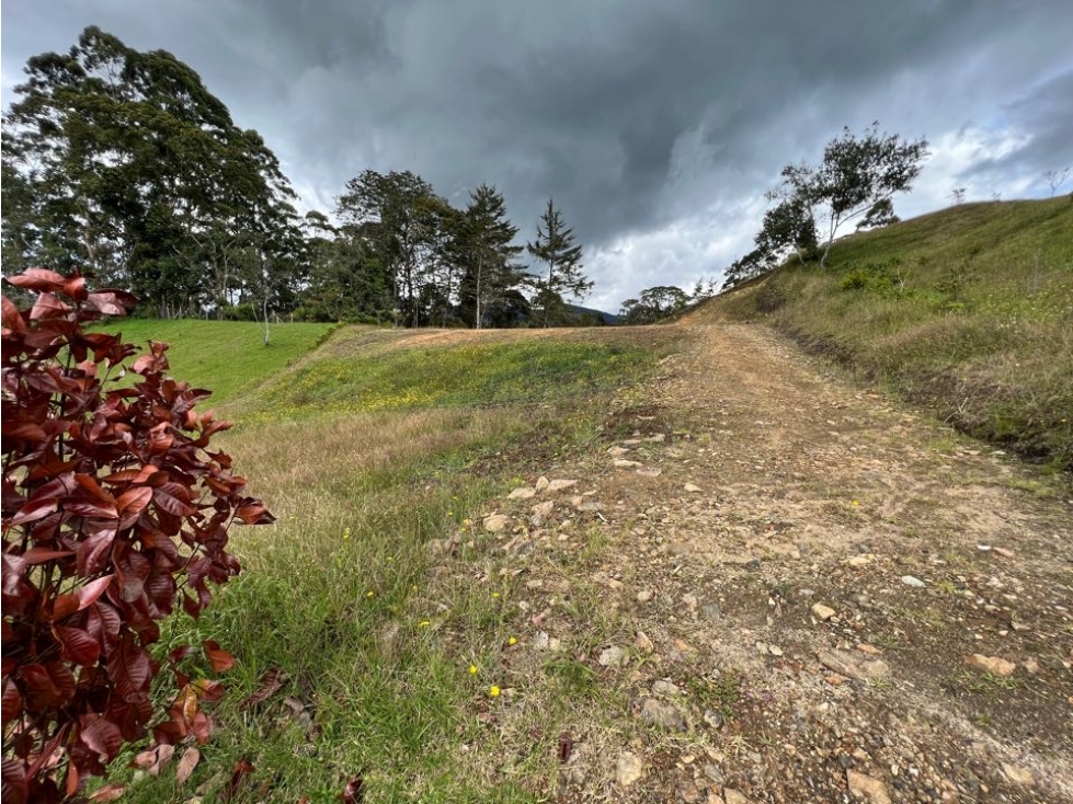 Venta lote en El Retiro Pantanillo