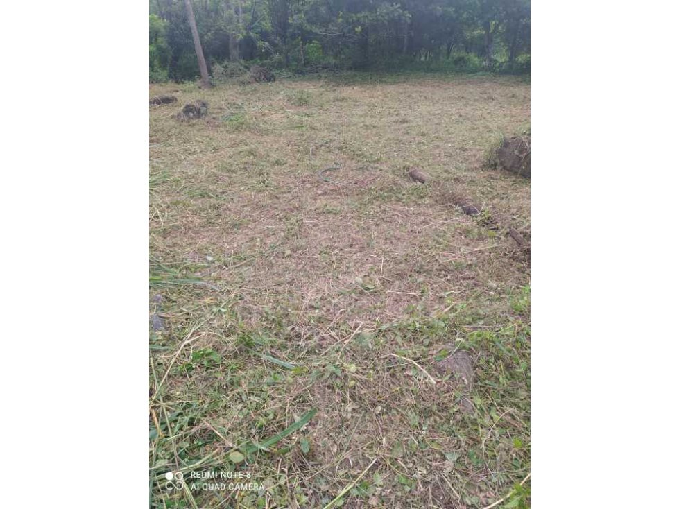 VENTA LOTE EN SOPETRAN ANTIOQUIA