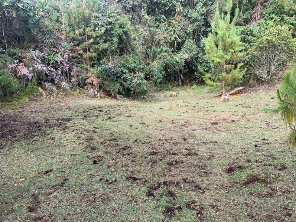 Venta Lote Santa Elena La Morena