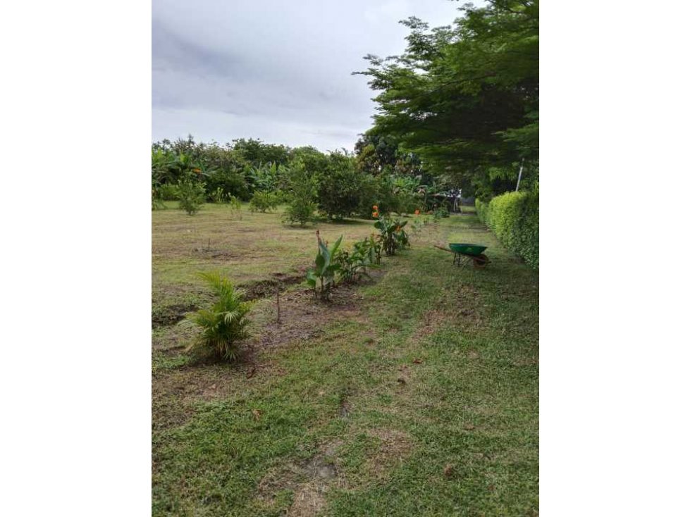 VENTA/ FINCA SALDAÑA TOLIMA