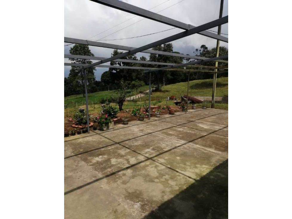 VENTA/PERMUTA FINCA A 8 KMS. DE PACHO CUNDINAMARCA