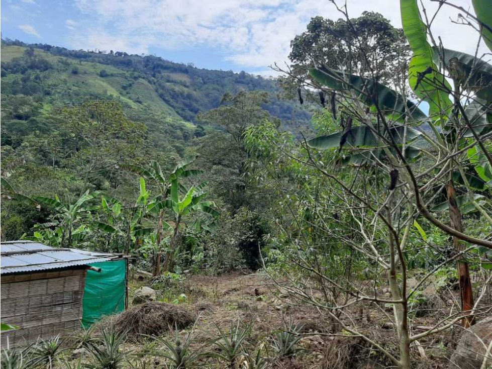 VENTA DE LOTE VIANI CUNDINAMARCA